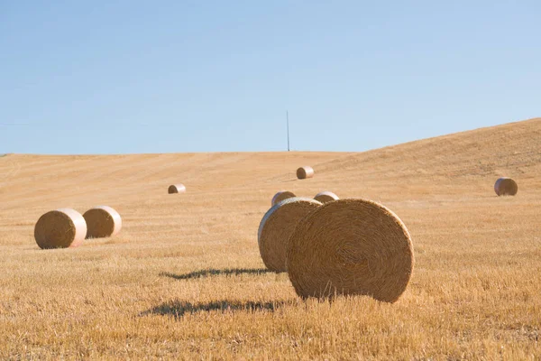 Vendemmia Toscana Italia Stack Fieno Sul Campo Estivo Balle Fieno — Foto Stock