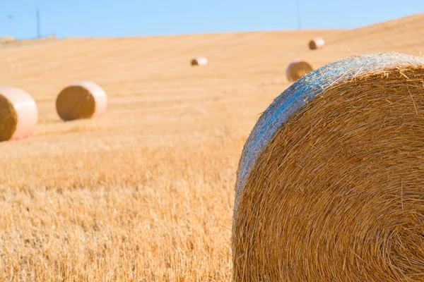 Tiempo Cosecha Toscana Italia Montones Heno Campo Verano Heno Pacas — Foto de Stock