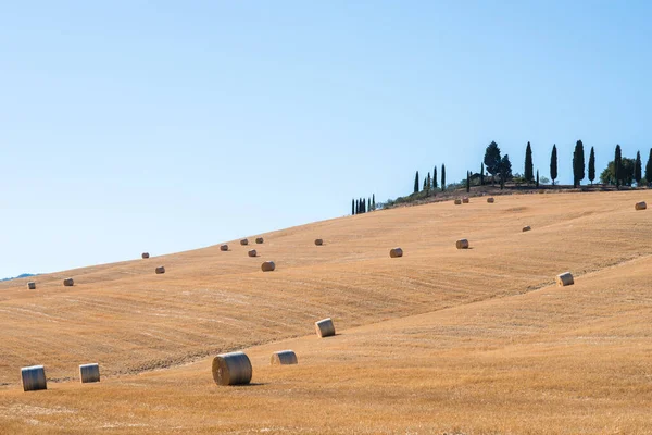 イタリアのトスカーナ州で収穫 夏の畑の干し草の山 夏の終わりに干し草とわらの俵 — ストック写真
