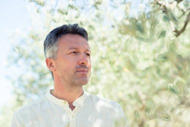 Zeytin ağaçları. Zeytin bahçesinde poz veren yakışıklı bir adam. Akdeniz zeytin tarlasında hasat için hazır erkek portreleri. İtalyan zeytinliğinde kendine güvenen olgun bir adam taze zeytinlerle dolu. Taze zeytin. Zeytin çiftliği