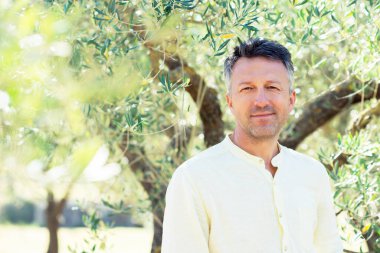 Zeytin ağaçları. Zeytin bahçesinde poz veren yakışıklı bir adam. Akdeniz zeytin tarlasında hasat için hazır erkek portreleri. İtalyan zeytinliğinde kendine güvenen olgun bir adam taze zeytinlerle dolu. Taze zeytin. Zeytin çiftliği