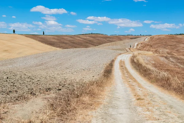 Tuscany Holidays Italy Holidays Tuscany Summer Landscape Tuscany Fields Blue — Stock Photo, Image