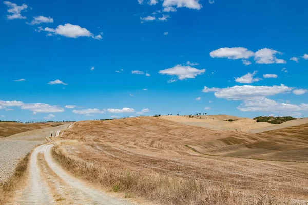 トスカーナの休日 イタリアの休日のトスカーナ フィールド 青空と道路 イタリア ヨーロッパとトスカーナ州の夏の風景 美しいイタリアでの休暇 — ストック写真