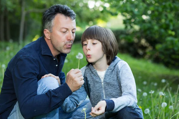 Handsome Man His Son Blowing Dandelions Blurred Green Grass Summer — Stock Photo, Image