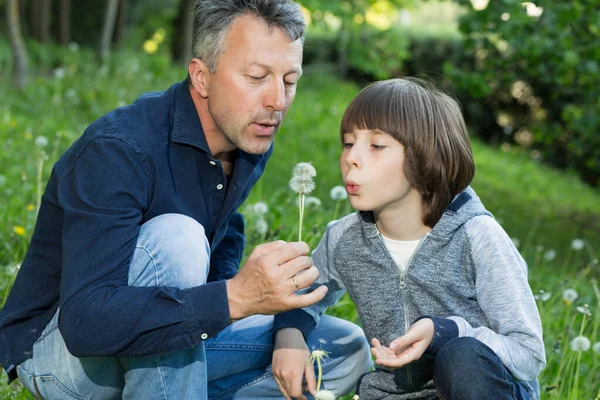 Handsome Man His Son Blowing Dandelions Blurred Green Grass Summer — Stock Photo, Image