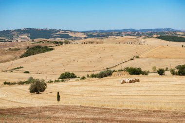 Tuscany, İtalya 'da hasat. Yaz tarlasında saman yığınları. Yaz sonunda saman ve saman balyaları