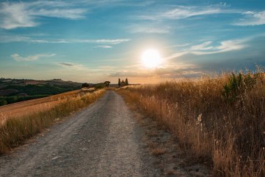 Capella Vitaleta yolu, D 'Orcia, Tuscuny, İtalya, 16 Temmuz 2017. Capella Vitaleta, arka plan, günbatımı, Toskana tatilleri. Toskana, İtalya, Avrupa 'da yaz manzarası. Güzel İtalya 'da tatil. 