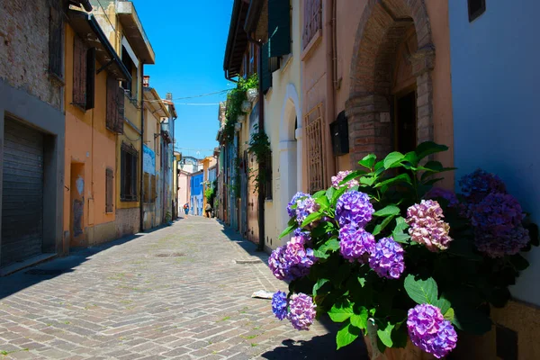 Calle Rimini Con Flores Florecientes Hortensias Cerca Casa Antiguo Centro — Foto de Stock