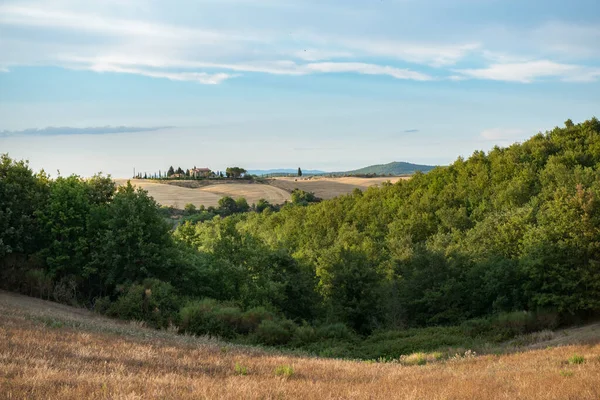 黄金のフィールド 森と空とイタリアの風景 トスカーナ州 イタリア ヨーロッパの牧歌的な夏の風景 美しいイタリアでの休暇 — ストック写真