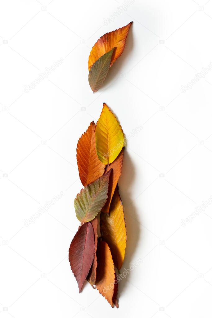 Letter I of colorful autumn leaves. Character I mades of fall foliage. Autumnal design font concept. Seasonal decorative beautiful type mades from multi-colored leaves. Natural autumnal alphabet.