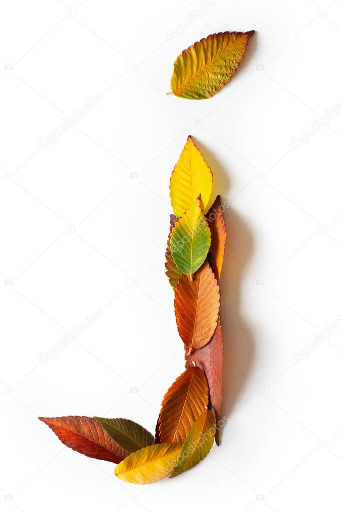 Letter J of colorful autumn leaves. Character J mades of fall foliage. Autumnal design font concept. Seasonal decorative beautiful type mades from multi-colored leaves. Natural autumnal alphabet.