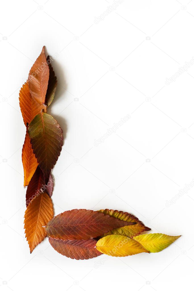 Letter L of colorful autumn leaves. Character L mades of fall foliage. Autumnal design font concept. Seasonal decorative beautiful type mades from multi-colored leaves. Natural autumnal alphabet.