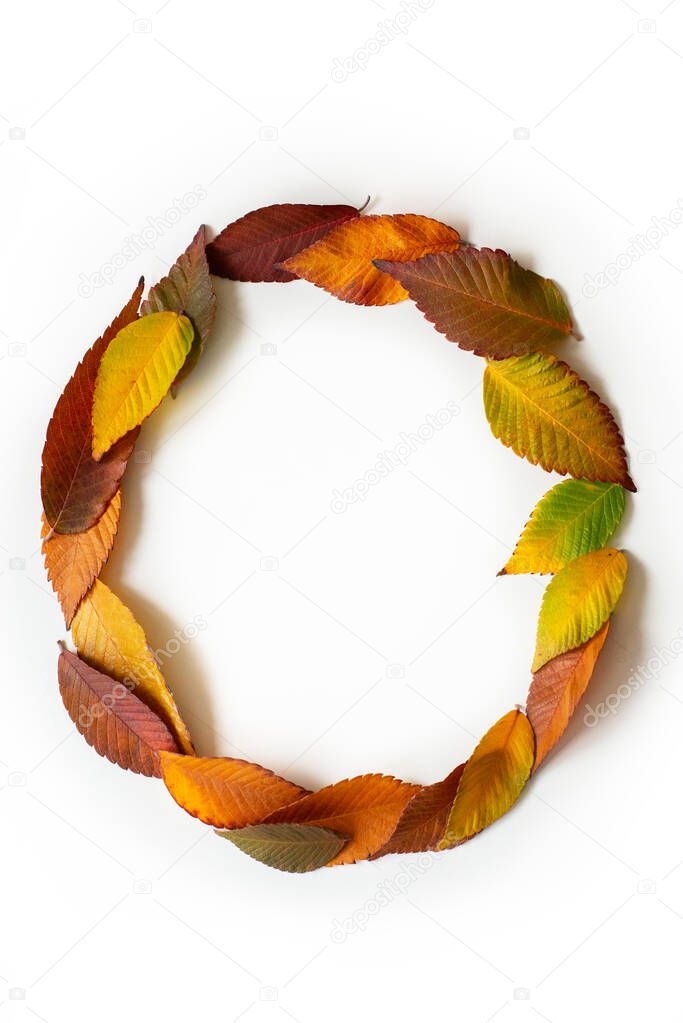 Letter O of colorful autumn leaves. Character O mades of fall foliage. Autumnal design font concept. Seasonal decorative beautiful type mades from multi-colored leaves. Natural autumnal alphabet.