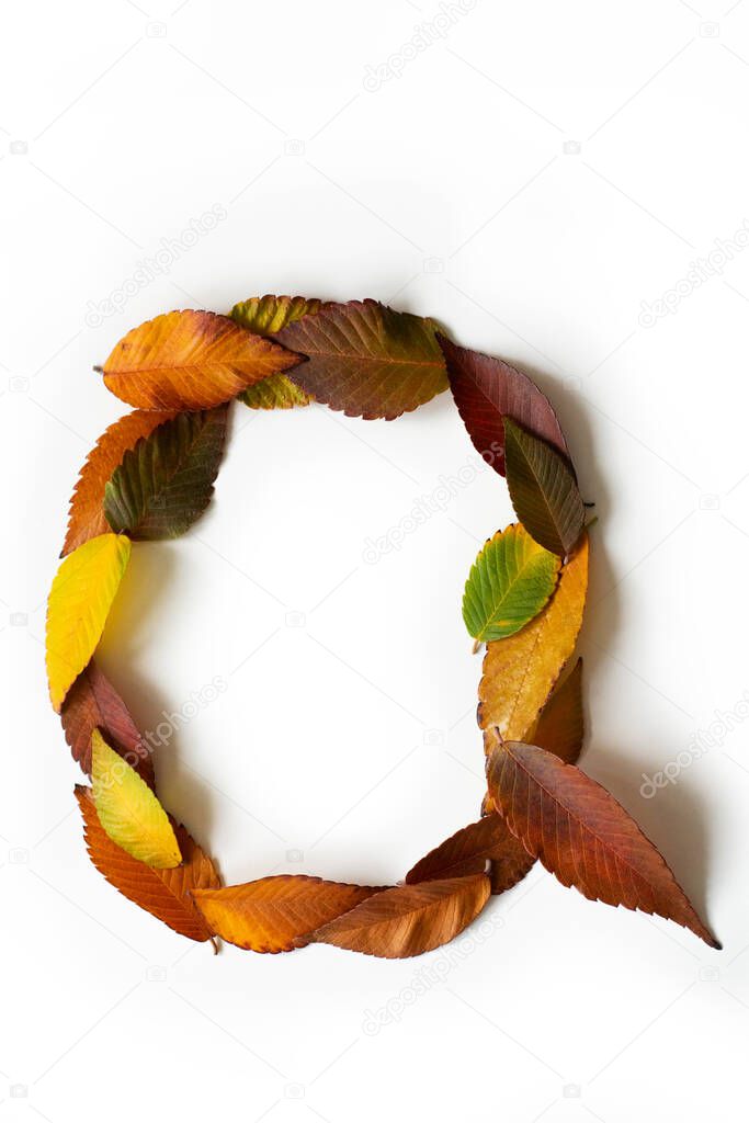 Letter Q of colorful autumn leaves. Character Q mades of fall foliage. Autumnal design font concept. Seasonal decorative beautiful type mades from multi-colored leaves. Natural autumnal alphabet.
