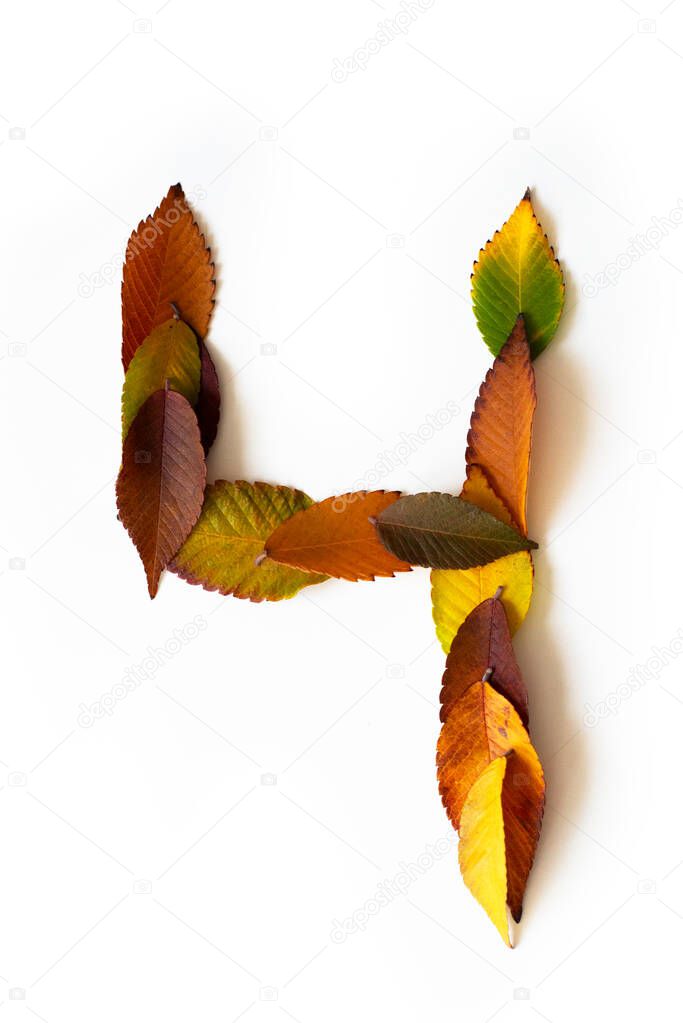 Number 4 of colorful autumn leaves. Cardinal number four mades of fall foliage. Autumnal design font concept. Seasonal decorative beautiful type mades from multi-colored leaves. Natural autumnal alphabet.