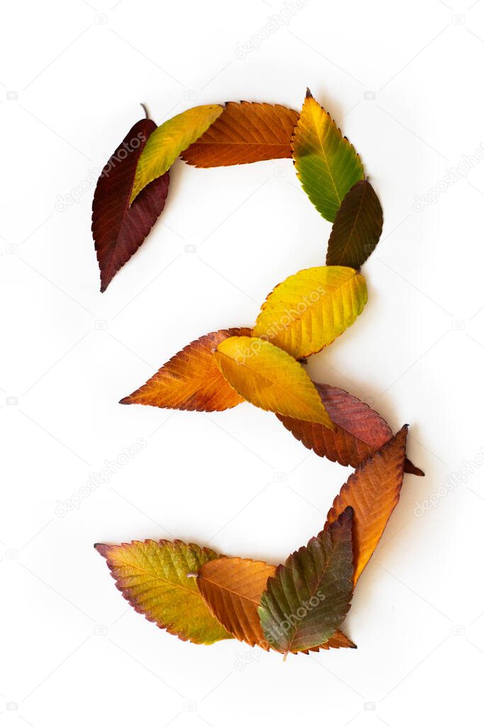 Number 3 of colorful autumn leaves. Cardinal number three mades of fall foliage. Autumnal design font concept. Seasonal decorative beautiful type mades from multi-colored leaves. Natural autumnal alphabet.