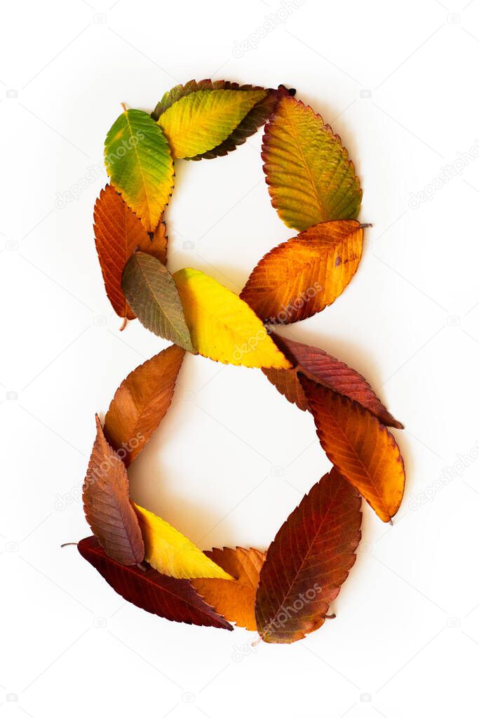 Number 8 of colorful autumn leaves. Cardinal number eight  mades of fall foliage. Autumnal design font concept. Seasonal decorative beautiful type mades from multi-colored leaves. Natural autumnal alphabet.