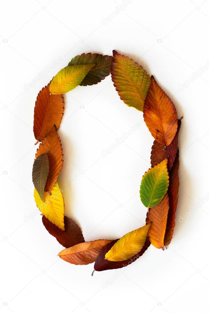 Number 0 of colorful autumn leaves. Number zero mades of fall foliage. Autumnal design font concept. Seasonal decorative beautiful type mades from multi-colored leaves. Natural autumnal alphabet.