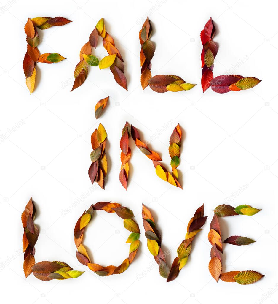 FALL IN LOVE makes of colorful autumn leaves. Positive affirmation mades of fall foliage. Autumnal design. Words of mades from multi-colored leaves