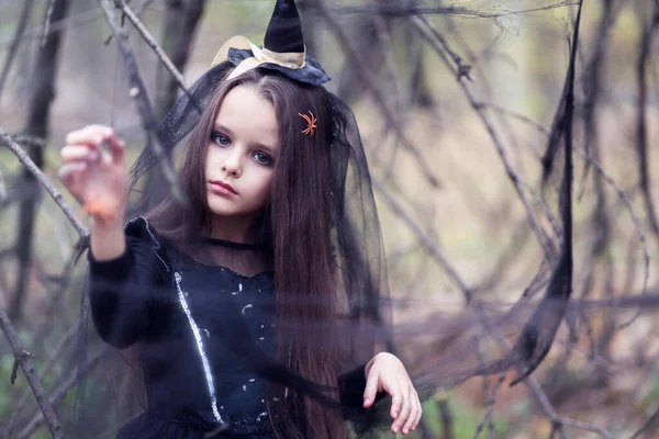 Belle Petite Fille Avec Araignée Dans Ses Longs Cheveux Bruns — Photo