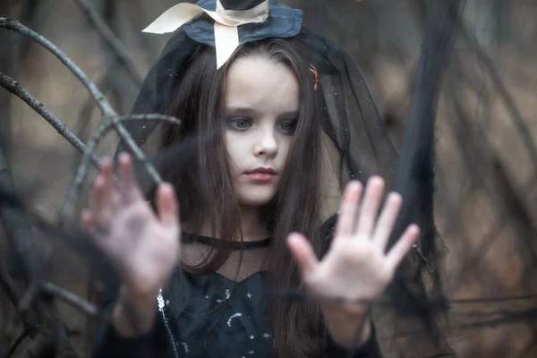 Llittle Girl Dressed Witch Dress Hat Walks Fall Forest Web — Stock Photo, Image