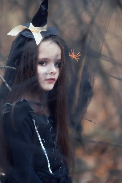 Boszorkányruhába Öltözött Kislány Kalap Sétál Őszi Erdőben Pókokkal Hálóban Halloween — Stock Fotó