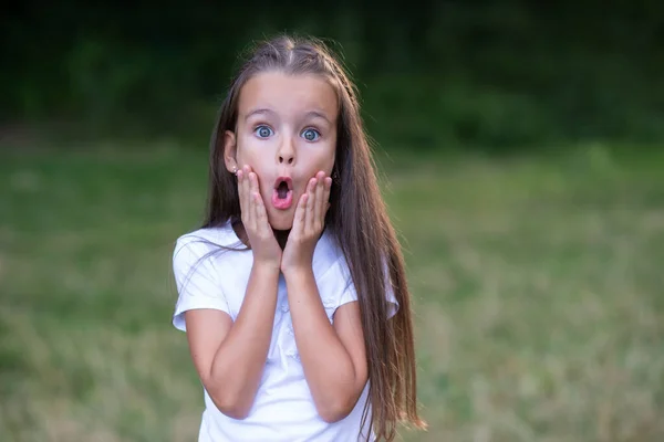 Überraschung Ziemlich Lustiges Kleines Mädchen Mit Langen Braunen Haaren Posiert — Stockfoto