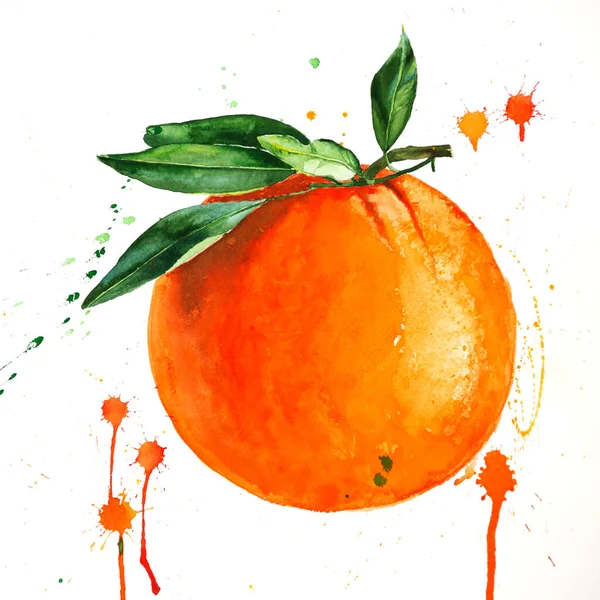 Aquarell Illustration Von Mandarinen Reifen Früchten Handgezeichnete Aquarellmalerei Von Mandarine — Stockfoto