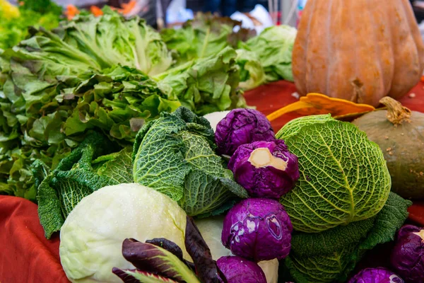 Mercado Verduras Italia Alimento Agrícola Productos Ecológicos Frescos — Foto de Stock