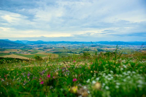 Paisaje Español Con Campos Cielo Montañas Navarra España Con Flores —  Fotos de Stock