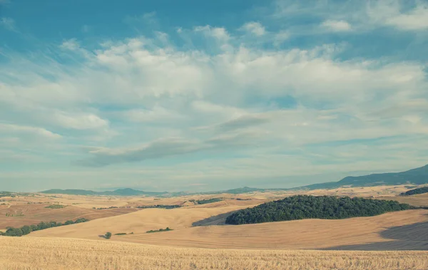 Picturesque View Hills Fields Olive Trees Tuscany Italy Scenic Italian — Stock Photo, Image