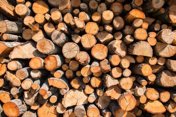 Lumber Fire Logs Firewood Natural Background Woodpile Sawmill Stock Photo