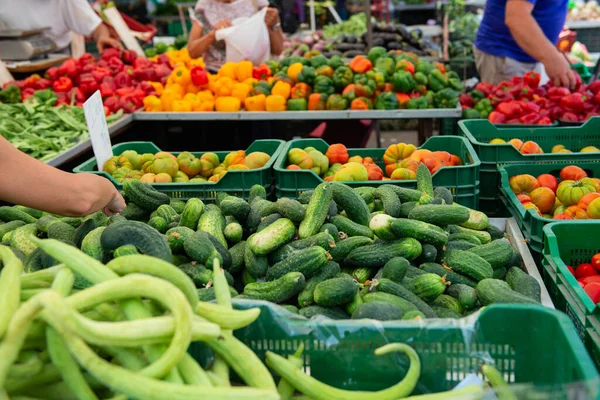 Pimentos Doces Pepinos Abobrinhas Tomates Outros Vegetais Frutas São Vendidos — Fotografia de Stock