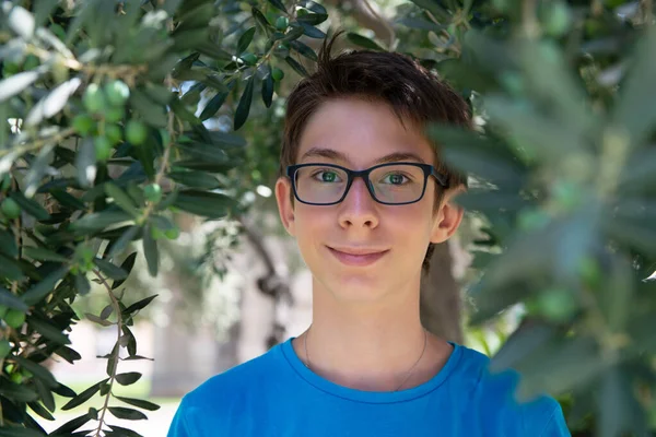 小男孩躺在橄榄树中间的夏天的小树林里 可爱的眼镜笑着快乐的少年13岁 看着相机 小孩的户外肖像 — 图库照片