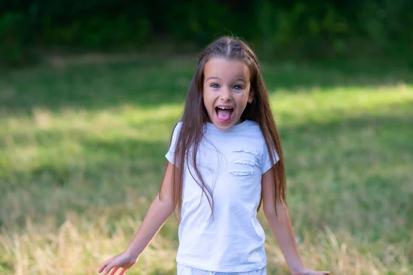 Holčička Křičí Úžasem Překvapením Nebo Strachem Emocionální Portrét Předškolního Dítěte — Stock fotografie