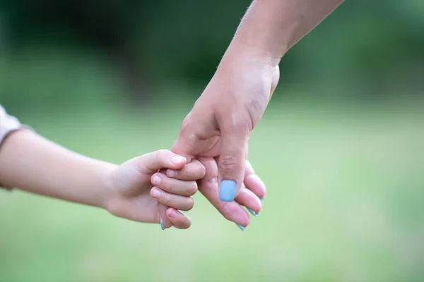 Frauen Und Kinderhände Mutter Führt Ihr Kind Die Sommerliche Natur — Stockfoto
