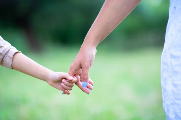 Mãos Mulher Miúdo Mãe Leva Seu Filho Natureza Verão Livre — Fotografia de Stock