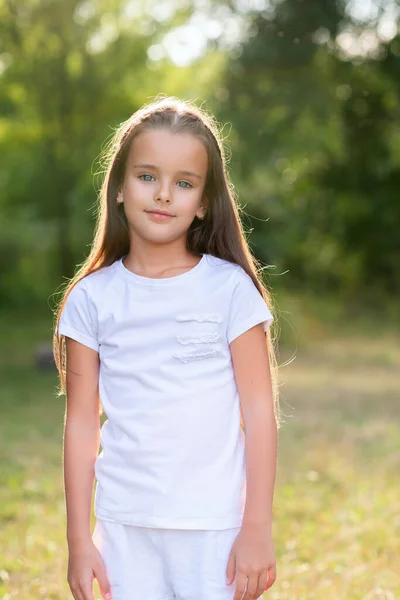 Hübsches Kleines Mädchen Mit Langen Braunen Haaren Posiert Sommer Natur — Stockfoto
