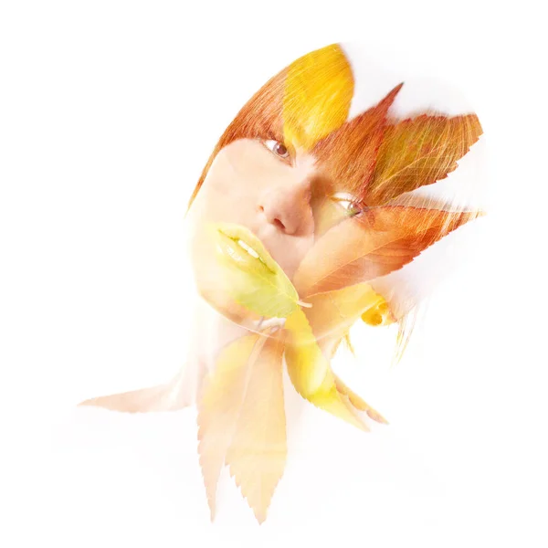 Inny Kolor Liści Jesieni Zestaw Kolorowych Liści Odizolowanych Białym Tle — Zdjęcie stockowe