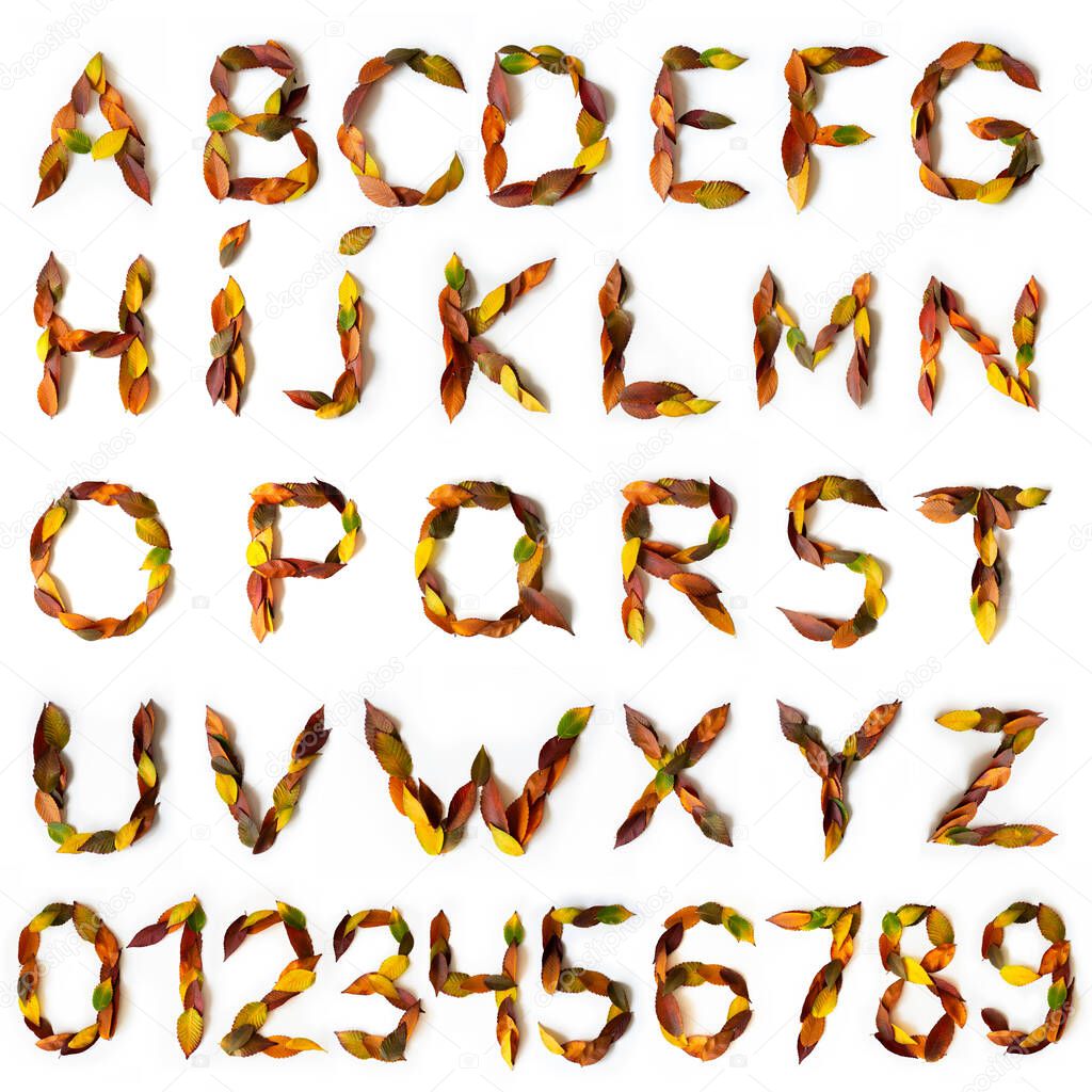 Letters and numbers maked of colorful autumn leaves. Characters made of fall foliage. Autumnal design font concept. Seasonal decorative beautiful type mades from multi-colored leaves. Natural autumnal alphabet.