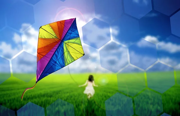 Kite flying — Stockfoto