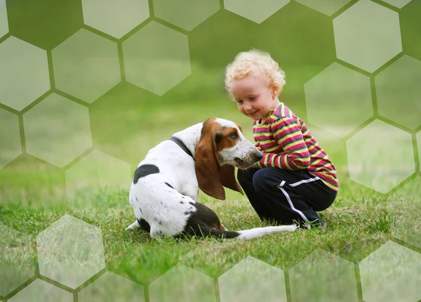 Little girl playing with a dog — Stock Photo, Image