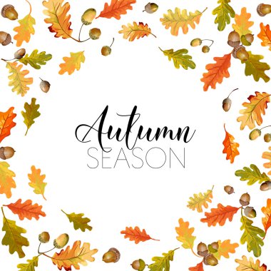 Renkli sonbahar yaprakları arka plan. Vektör çiçek Banner tasarımı. T-shirt Moda grafiği.