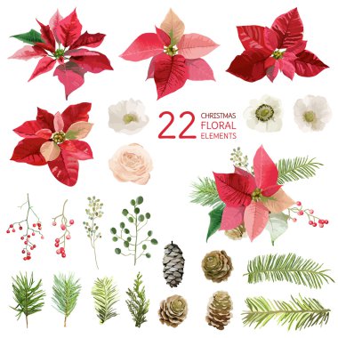Poinsettia Flowers and Christmas Floral Elements - in Watercolor Style - vector clipart