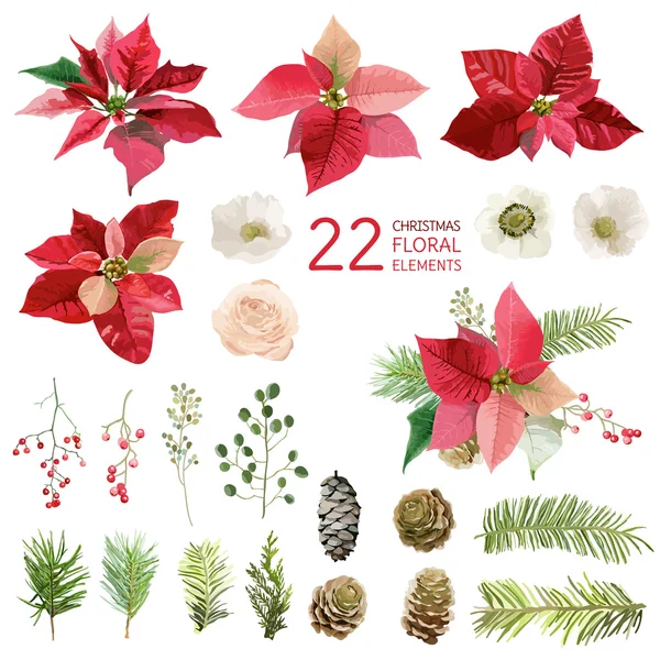 Flores de Poinsettia y elementos florales de Navidad - en estilo acuarela - vector — Archivo Imágenes Vectoriales