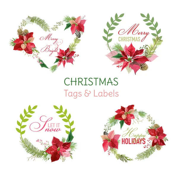 Christmas Poinsettia Цветы Знамения и метки - Зимний набор - для вашего дизайна и альбома - в векторе — стоковый вектор