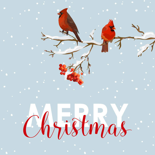 Merry Christmas Card - Winter Birds with Rowan Berries Banner - in vector