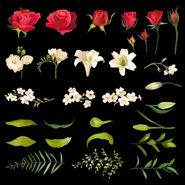 Vintage Lily y Rose Flowers Set en estilo acuarela. Vector — Archivo Imágenes Vectoriales