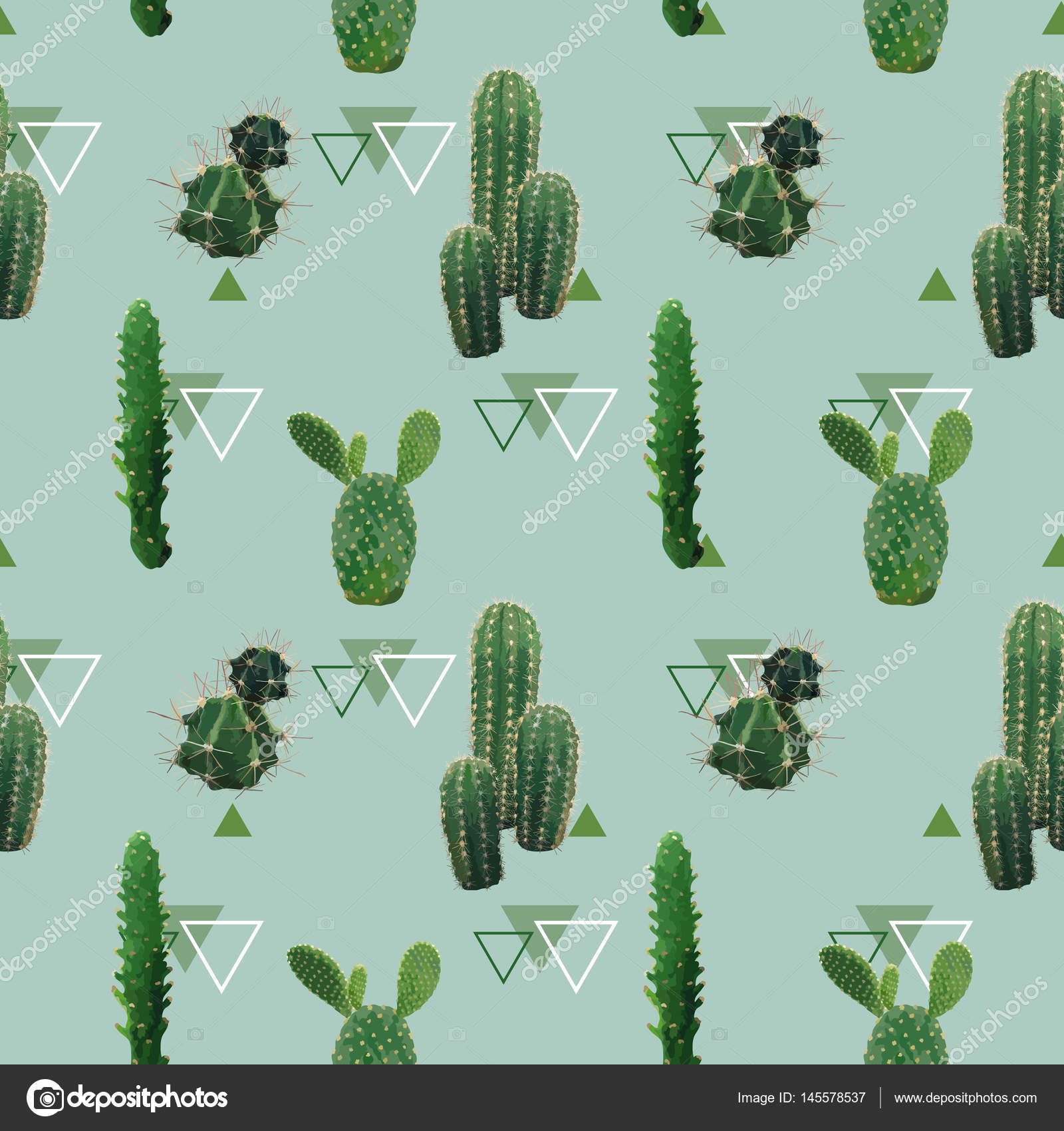 Dois, cacto, plantas, branco, fundo  Cactus vector, Cactus, Cactus plants