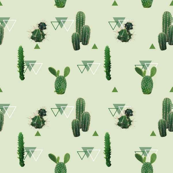Geometryczne Kaktus roślina Seamless Pattern. Egzotycznych tropikalnych lato botaniczny tło wektor. — Wektor stockowy